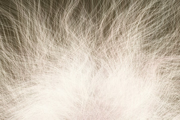 Artistic look abstract of fur, dreamy background. Closeup, 3D rendering & illustration.