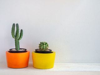 Beautiful round concrete planters with cactus plant. Colorful painted concrete pots for home decoration