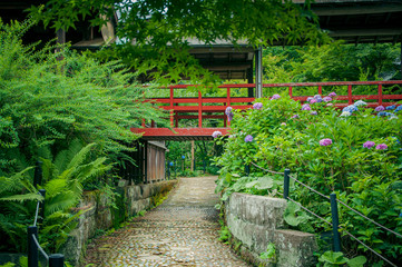 梅雨入りの小径