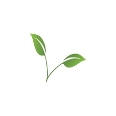 Logos of green Tree leaf ecology