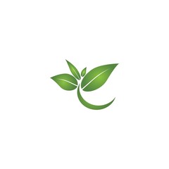 Logos of green Tree leaf ecology