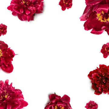 Spring concept. Pattern of beautiful aromatic fresh red peonies on background