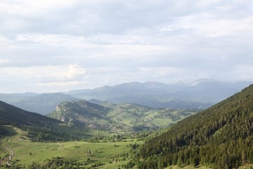 Obraz premium beautiful dark blue mountain landscape with fog and forest.artvin/turkey