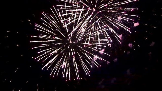 Beautiful fireworks in honor of the holiday