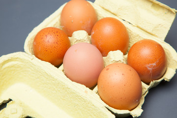 Media docena de huevos frescos de gallina, preparados para ser cocinados de mil maneras distintas.