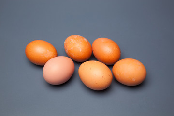 Media docena de huevos frescos de gallina, preparados para ser cocinados de mil maneras distintas.