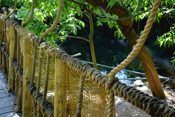 Fototapeta premium bridge in the Park