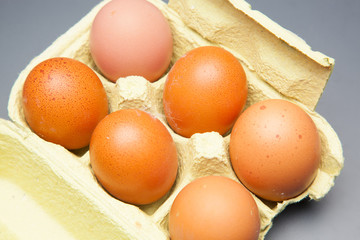 Media docena de huevos frescos de gallina, preparados para ser cocinados de mil maneras distintas.