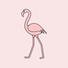 Exotic tropical bird flamingo.