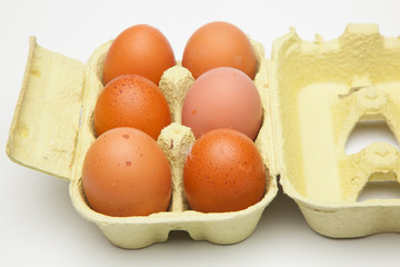 Media docena de huevos frescos de gallina, preparados para ser cocinados de mil maneras distintas.