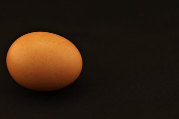 Egg