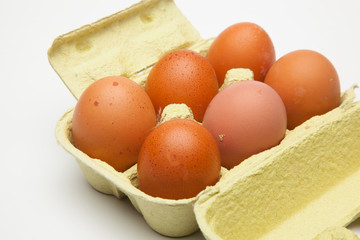 Media docena de huevos frescos de gallina, preparados para ser cocinados de mil maneras distintas.