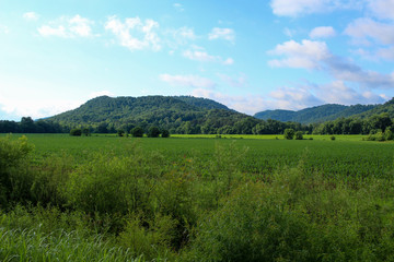 Fototapeta premium Summer Valley