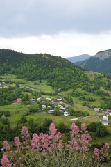 beautiful dark blue mountain landscape with fog and forest.artvin/turkey