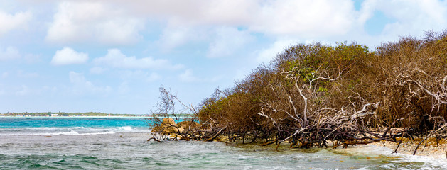 Bonaire, Wellen an der K&uuml;ste der Insel, Panorama