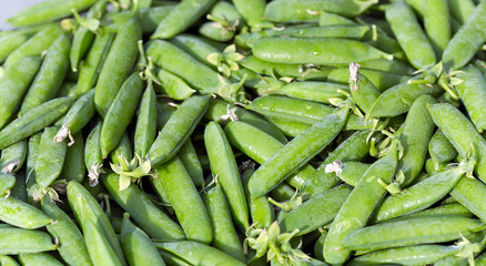Fresh pods of sweet green peas on the traditional local market