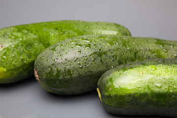 Calabacín fresco, recién cogido del huerto, preparado para ser consumido. Con el calabacín podemos hacer tortillas, podemos hacer verduras o bien pistos y sanfainas.