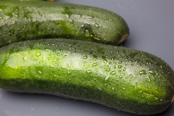Calabacín fresco, recién cogido del huerto, preparado para ser consumido. Con el calabacín podemos hacer tortillas, podemos hacer verduras o bien pistos y sanfainas.
