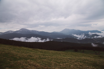 foggy landscape in the wild Carpathian mountains