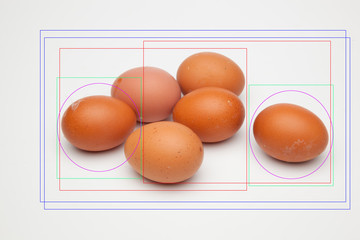 Huevos de gallina, ricos en proteinas, alimento muy completo, tiene mil usos en la cocina, se...