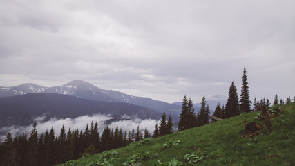 foggy landscape in the wild Carpathian mountains