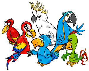 colorful parrots group cartoon illustration