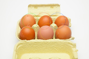 Huevos de gallina, ricos en proteinas, alimento muy completo, tiene mil usos en la cocina, se...