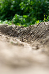 soil, mud rut in garden