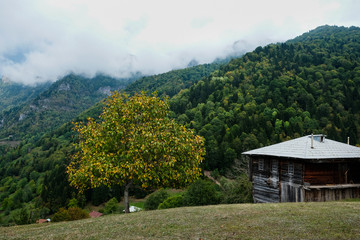 Tago, Adjara region, Georgia. House of some locals in the mountains of the Caucasus.  The village...