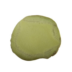 slice of wasabi root  isolated on white background. top view