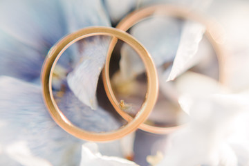 Obraz na płótnie Canvas Wedding rings close-up macro shot. Rings of the bride and groom