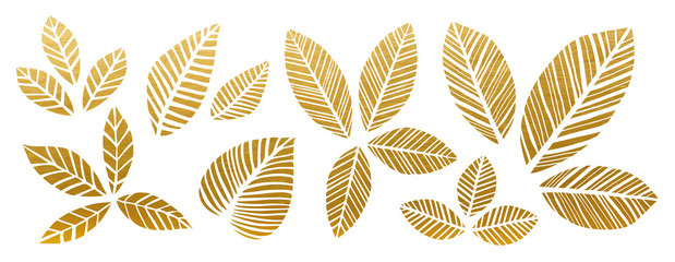 Golden Leaves Set. Nature Decoration Elements. Vector.