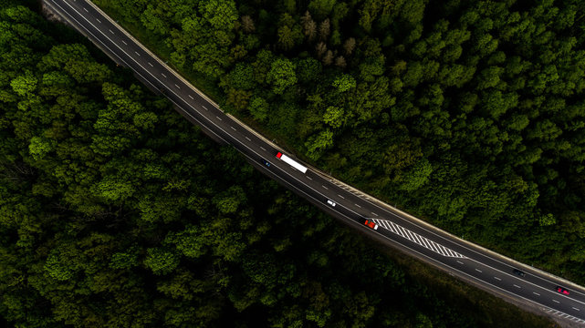 Aerial view flying over road, that lead through the green forest.