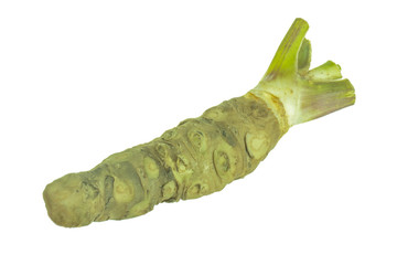 fresh wasabi root isolated on white background