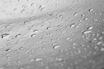 drops of water after a rain flow down from a polyethylene film against a bokeh outdoors. homemade...