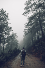 Forest road Fog and rain in the evening