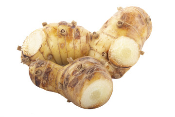 fresh galangal root  isolated on white background