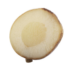slice of fresh galangal root  isolated on white background. top view
