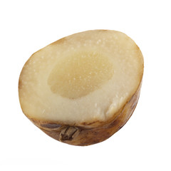 slice of fresh galangal root  isolated on white background. top view