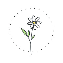Chamomile flower. Logo for spa and beauty salon, boutique, organic shop, wedding, floral designer, interior, photography, cosmetic. Botanical floral element.