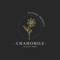 Chamomile flower. Logo for spa and beauty salon, boutique, organic shop, wedding, floral designer, interior, photography, cosmetic. Botanical floral element.