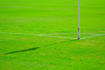 Obraz premium green soccer field