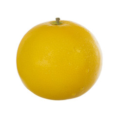 fresh yellow (white) grapefruit isolated on white background