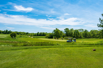 golfers on golf green