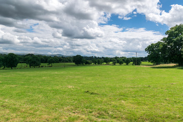 Landschaft mit Wiese und Bäumen und spektakulärem Himmel
