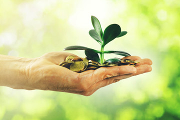 money growth and investment concept. hand with coins and small plant