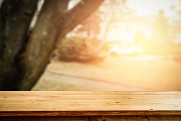 Summer background of free space for your decoration. 