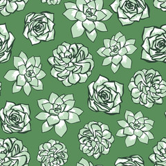 Vector spring flower seamless pattern with succulents. Modern design for natural cosmetics, perfume, florist shop. Can be used as greeting, wedding background. Best for fabric. Flowers texture.
