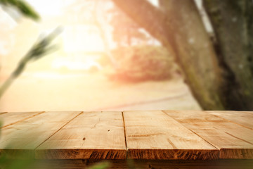 Summer background of free space for your decoration. 