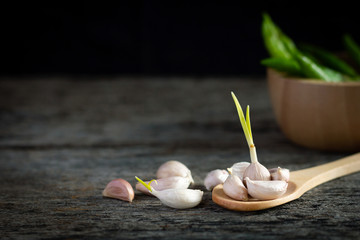 Closeup of garlic in wooden spoon on old wooden board with blurred green chili in wooden cup